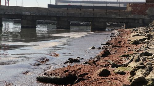 Tekirdağ'da Kuvvetli Rüzgar Sonucu Kırmızı Yosun Birikimi