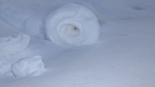 Amasya'da Kar Ruloları Doğada Yeniden Görüldü