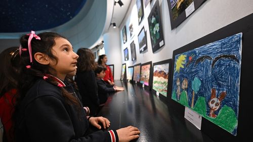 Ankara'da 'Benim Doğa Hikayem' Temalı Sergi Açıldı
