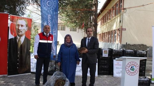Çorum'da Çiftçilere 140 Bin Çilek Fidesi Dağıtıldı