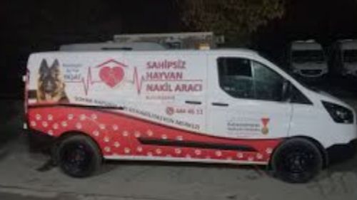 Eskişehir'den Sahipsiz Köpekler İçin Yeni Karar: Protokol İmzalandı