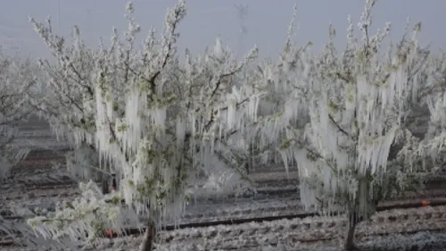 Meteoroloji Genel Müdürlüğü'nden Yaz Mevsimi için Uyarı: Gıda Fiyatları Artabilir