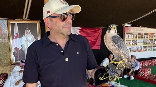 7. Etnospor Kültür Festivali'nde Gökdoğan Cinsi Şahinlere Yoğun İlgi