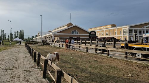 Çorum'da Uluslararası Atlı Dayanıklılık Yarışması Gerçekleştirildi