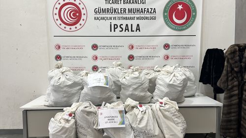 İpsala Sınır Kapısı'nda Uyuşturucu ve Kaçak Eşya Operasyonları: 3 Tutuklama
