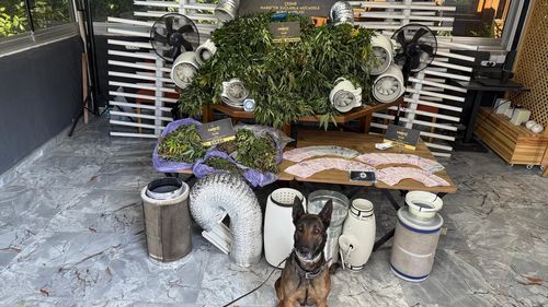 İzmir'de Uyuşturucu İmalatı Yapılan Villada Tutuklama