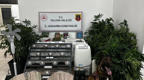 Yalova'da Uyuşturucu İmalatı: Bir Zanlı Tutuklandı