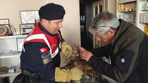 Yozgat'ta Dikenli Tellere Takılan Puhu Kurtarıldı