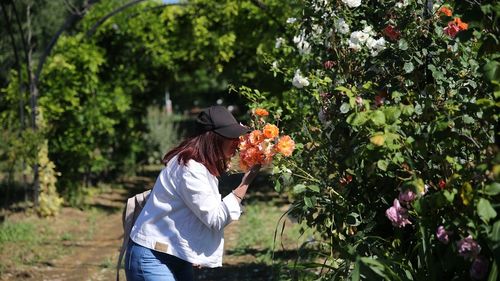 Edirne'de Renkli Çiçeklerle 'Koku Tüneli' Oluşturuldu