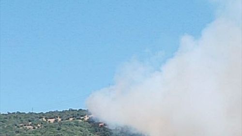 Balıkesir'in Savaştepe İlçesinde Orman Yangınına Hızlı Müdahale