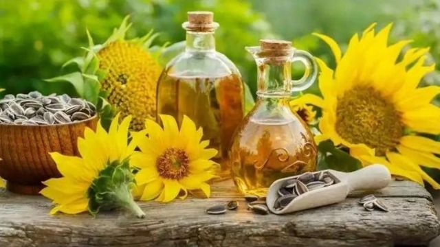 Ayçiçeği yağı fiyatlarına büyük zam! Bayraktar açıkladı