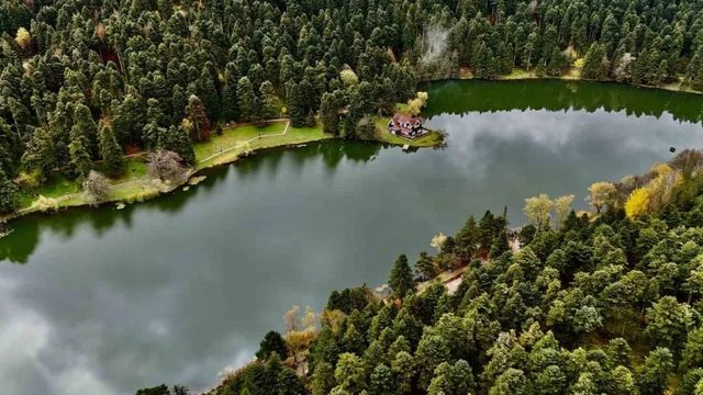Bolu'da Orman Yangınlarına Karşı Ek Tedbirler: Ateşli Piknik Yasaklandı