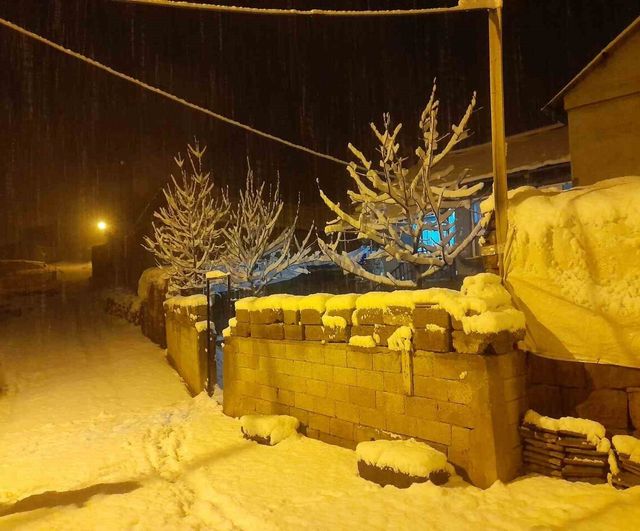 Ahlat’ta yüksek kesimlerde kar etkili oldu, Cemalettin Köyü'nde 20 cm'e ulaştı