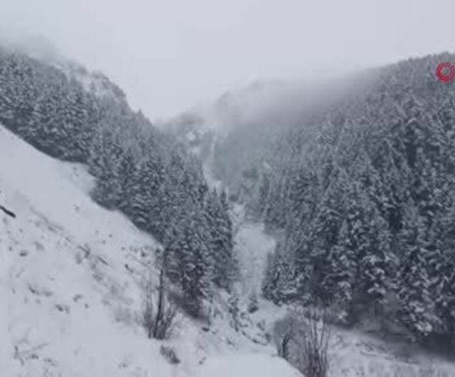 Anzer Yaylası'nda kar yağışı ulaşımı etkiledi, yayla kartpostallık görüntüler oluşturdu