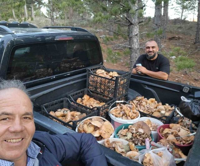 Çameli Karabayır'da yağışların ardından cintar sezonu canlandı