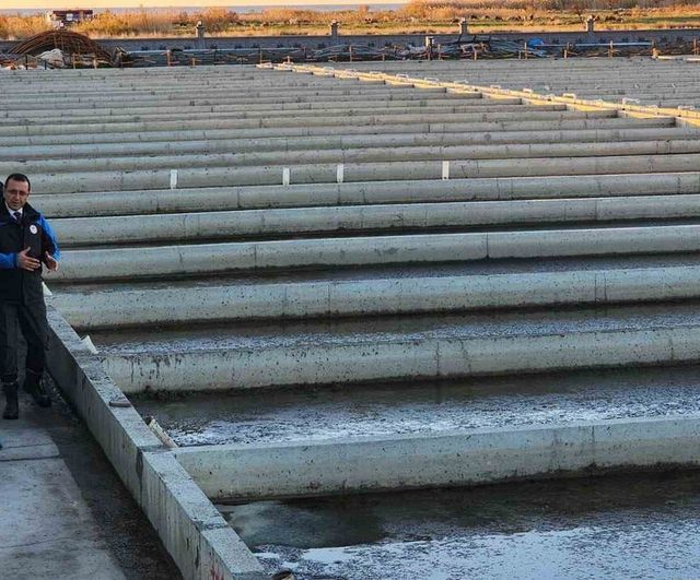 Çanakkale Ayvacık’taki Türkiye’nin Tek Deniz Solucanı Yetiştiriciliği Tesisi Faaliyette