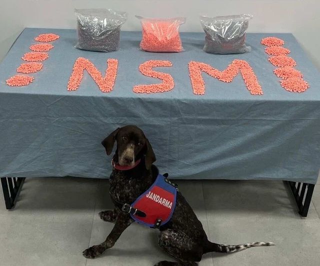 Denizli'de Jandarma 1 Aylık Takiple 28 Bin Extacy Hap Ele Geçirdi, Şüpheli Tutuklandı