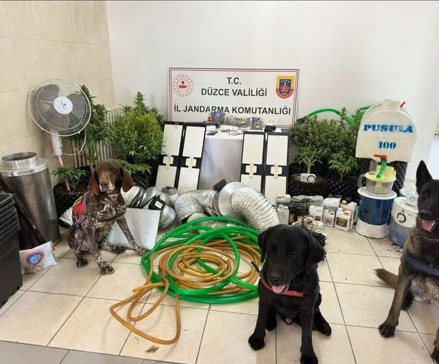 Düzce'de uyuşturucu operasyonu: 1 şüpheli gözaltına alındı