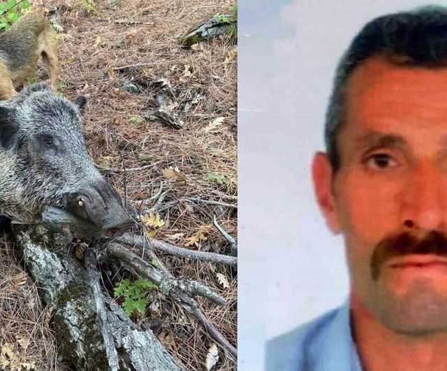 Erzincan'da domuz saldırısında avcı hayatını kaybetti