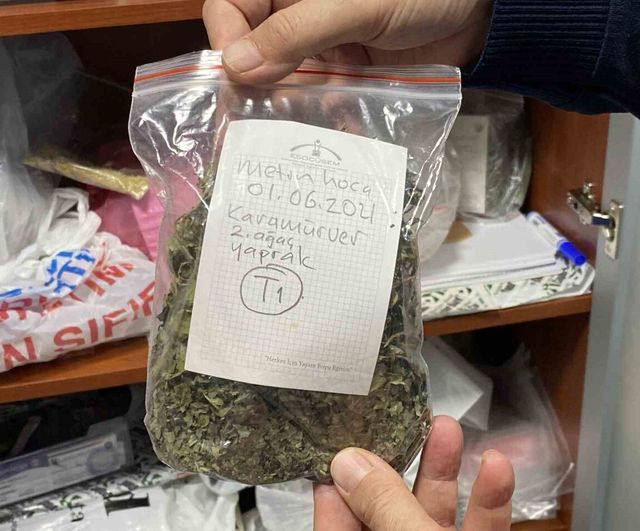 Eskişehir, Türkiye’nin en zengin tıbbi aromatik genetik kaynak merkezine ev sahipliği yapıyor