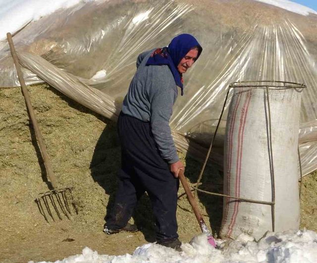 Hasköy’de kar etkisi: Besiciler saman örtüsünü temizleyip hayvanlarını yemlemeye başladı