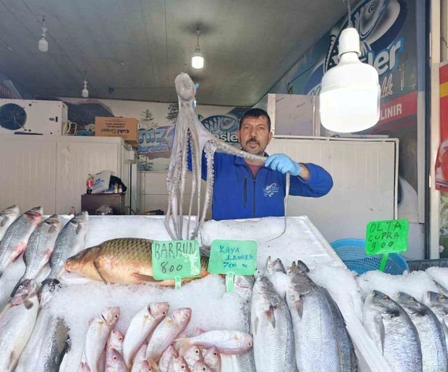 Kahramanmaraş'ta balık talebi artıyor: Günlük hamsi satışı yaklaşık 3 ton