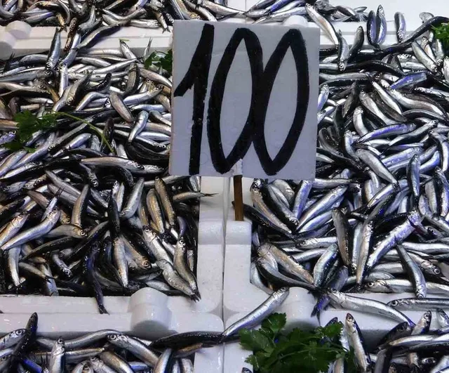 Karadeniz'de hamsi bereketi ve tezgâhlardaki fiyat hareketliliği