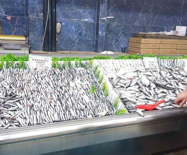 Kayseri'de hamsi bolluğu sürüyor: Palamut azlığı tezgahları etkiledi