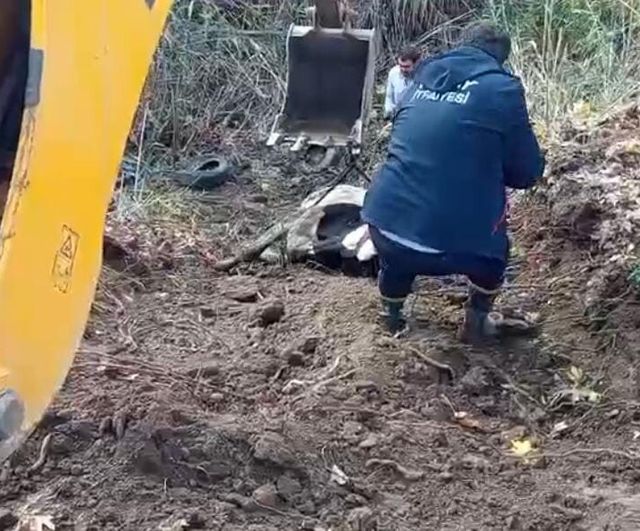 Kırıkhan’da dereye düşen inek itfaiye ekiplerince kurtarıldı