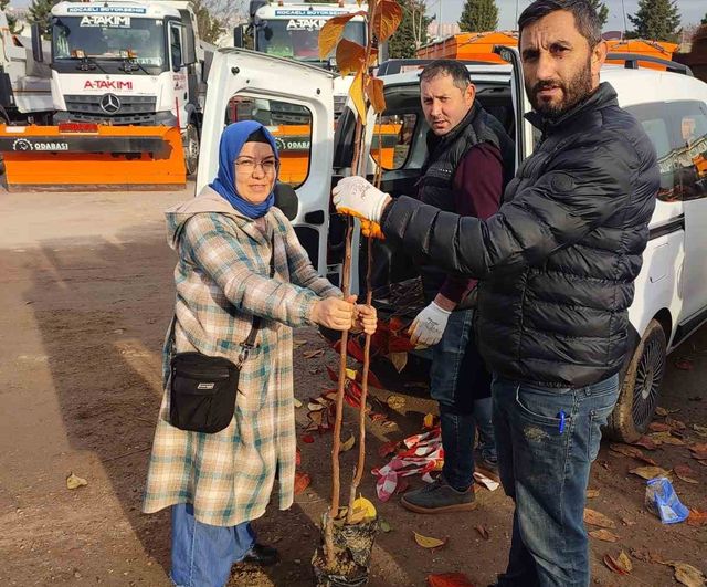 Kocaeli'de yüzde 50 hibeli 3 bin 600 Trabzon hurması fidanı üreticilere dağıtılacak
