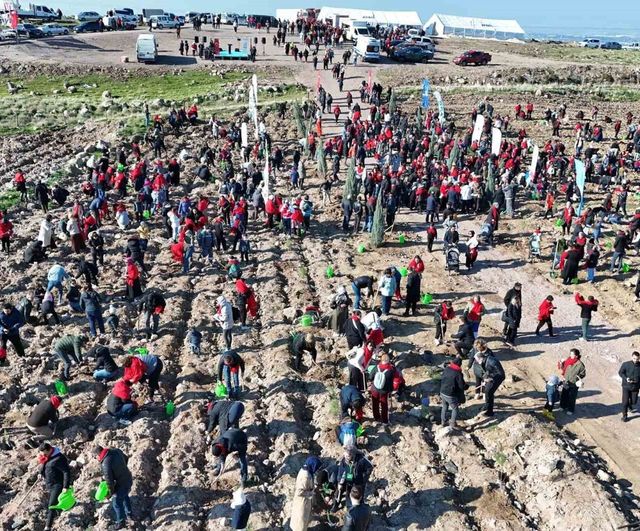 Menemen Belediyesi 'İyi ki Doğdun Bebek' projesi kapsamında Yahşelli'de 5 bin fidan dikti