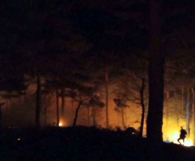 Mersin Bozyazı Tekmen Mahallesi'nde Orman Yangını Kontrol Altına Alındı