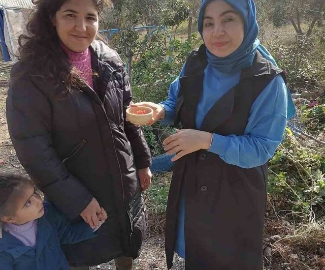 Osmaniye'de Safran Üretimi Yaygınlaşıyor: Çiftçilere Eğitim ve Destek Sürüyor