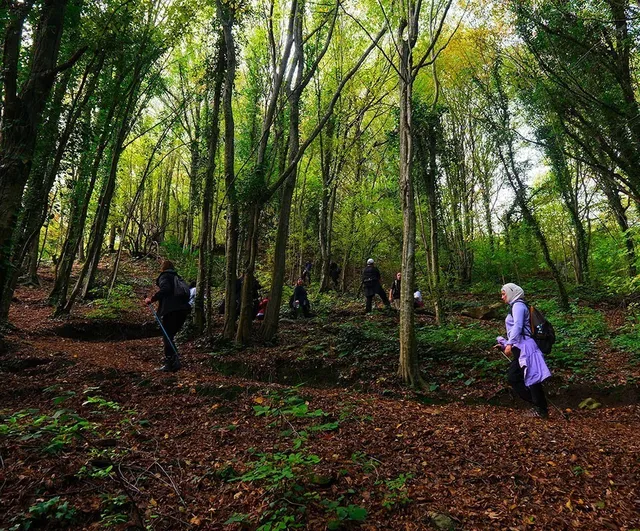 Sakarya'da Sonbahar Doğa Yürüyüşleri 9 Rota ve 1.140 Katılımcıyla Gerçekleşti