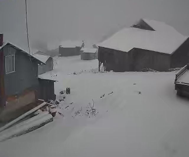 Sakarya Hendek'te Yüksek Kesimler Karla Örtüldü: Dikmen Yaylası Beyaza Büründü