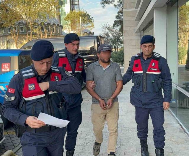 Samsun'da ağaç kesimi sırasında yaşanan kaza: Komşusunun ölümüne neden olan kişi tutuklandı