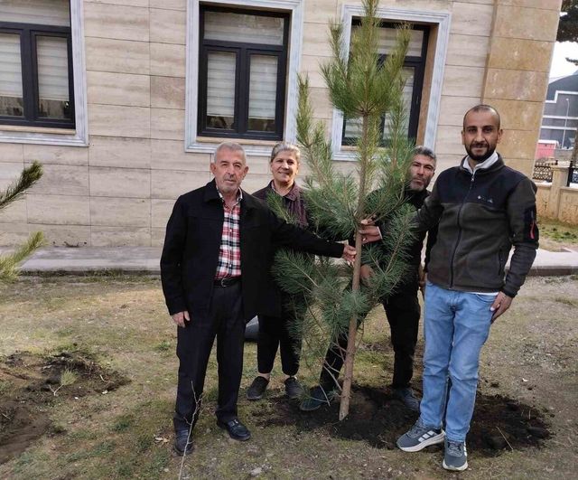 Tatvan’da okul bahçeleri 'Yeşil Vatan – Benim Okulum Geleceğe Çare' projesiyle yeşilleniyor