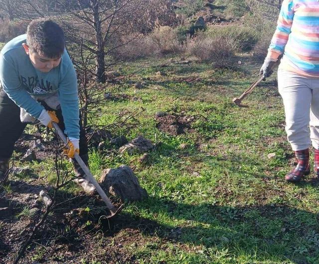 Urla Barbaros’ta yanan ormana umut: Yaklaşık 500 meşe palamudu toprakla buluştu