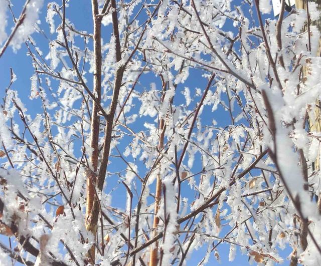 Ardahan'da Sibirya soğukları etkisini sürdürüyor: Göller ve nehirler dondu