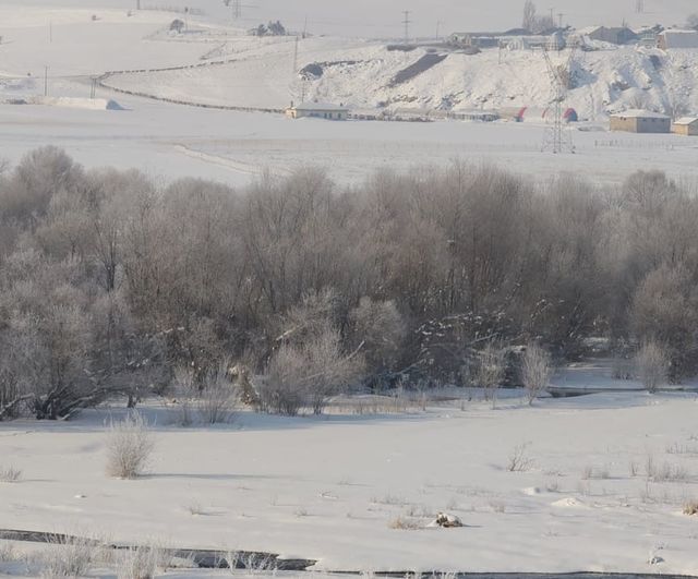 Aşkale'de Sibirya soğukları yaban hayatını zorluyor: HES Baraj Göleti büyük ölçüde buz tuttu