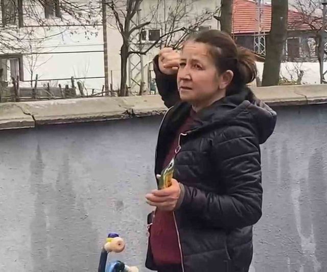 Bartın Gecen Köyü'nde yavru kedi bir haftadır ağaçta mahsur