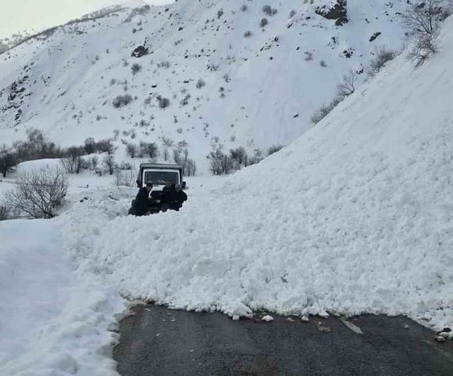 Bingöl'de Karlıova–Yedisu yoluna düşen küçük çığ, vatandaşların kürek çalışmasıyla temizlendi