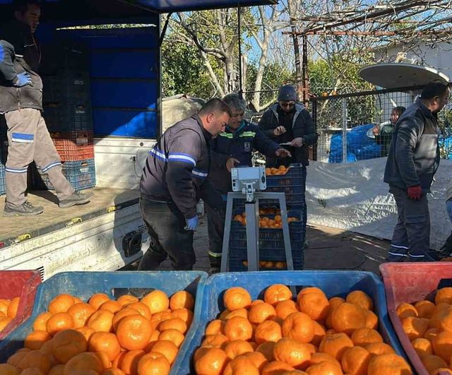 Bodrum Mandalini, yeni satış ve dağıtım stratejileriyle Türkiye'ye yayılıyor