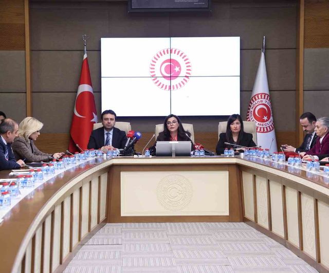 İstanbul Emniyeti TBMM Komisyonu’na Sunum Yaptı: Çocukların Dijital Mecralarda Suça Yönlendirilmesi Tartışıldı