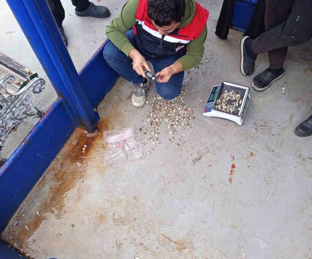 Kastamonu İnebolu'da beyaz kum midyesi denetimleri: yasal boy, kota ve üretim alanı incelemeleri