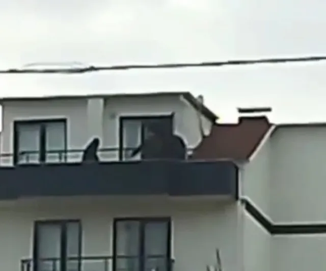 Kocaeli'de FETÖ operasyonu: Hakkında kesinleşmiş ceza bulunan ihraç üsteğmen çatıda yakalandı