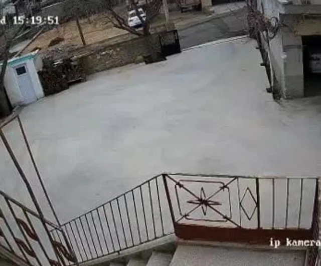 Nevşehir Sulusaray'da tilki bahçeye girip onlarca tavuğu telef etti