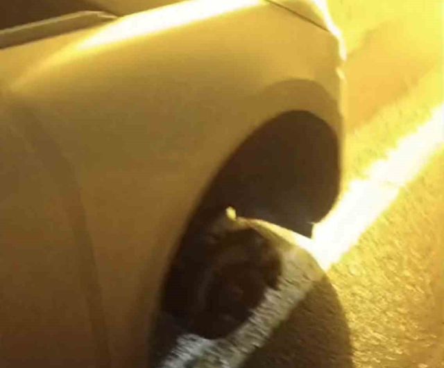 Siverek-Diyarbakır Karayolunda Oluşan Çukur Yaklaşık 20 Araca Hasar Verdi