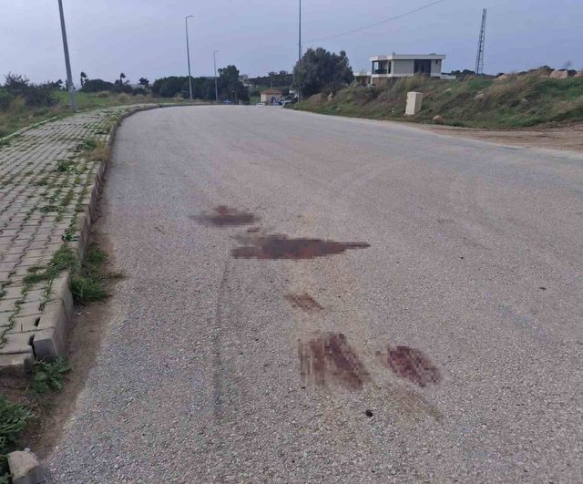 Didim'de silahlı saldırı: 2 kişi hayatını kaybetti, iki şüpheli gözaltında