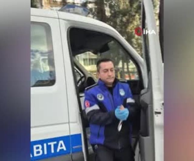 İzmir Büyükşehir ekipleri sağanakta hayvanları kurtardı: Torbalı'da ahır tahliyesi ve yaralı güvercin tedavisi